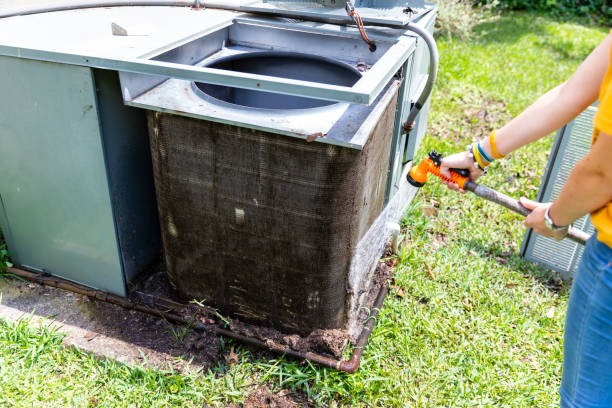 Best Professional Duct Cleaning Services  in Plains, TX