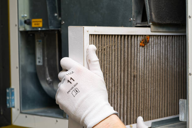 Best Home Air Vent Cleaning  in Plains, TX