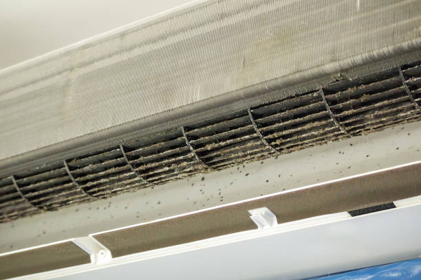 Best Dryer Vent Cleaning Services  in Plains, TX