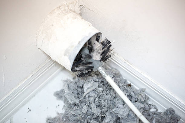Best Ductwork Cleaning Services  in Plains, TX